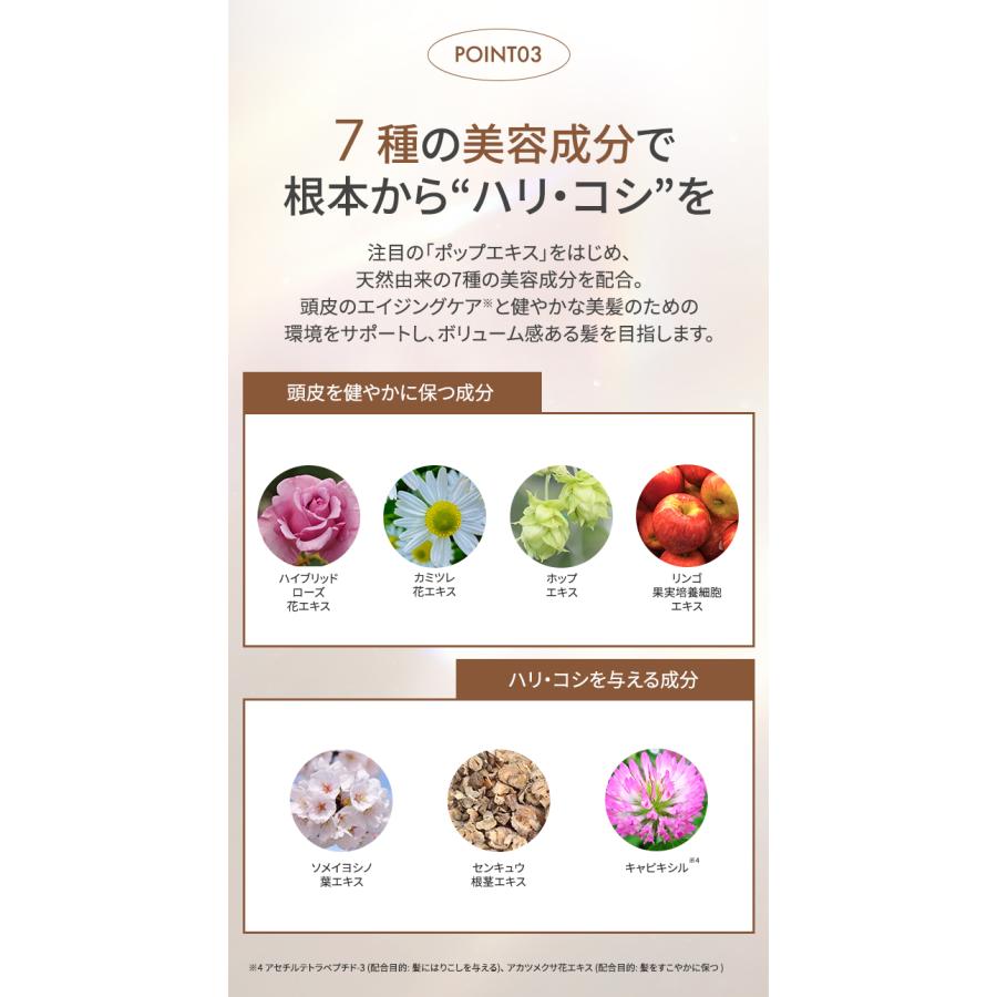 2個セット ハル haru シャンプー 100%天然由来 ノンシリコン kurokami スカルプ アミノ酸 リンス不要 ダメージ補修 ボリューム オールインワン(SIB)海外×の画像