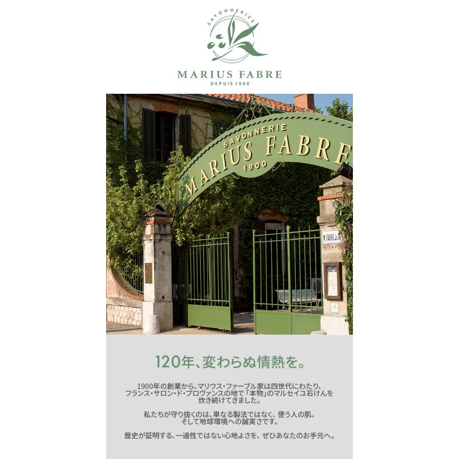 2個セット サボンドマルセイユ 200g オリーブ サンフラワー ネイチャー