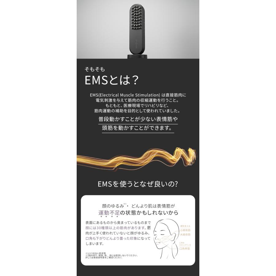 SALONIA サロニア EMS リフトブラシ 3Dケア 美顔器 ems リフトアップ