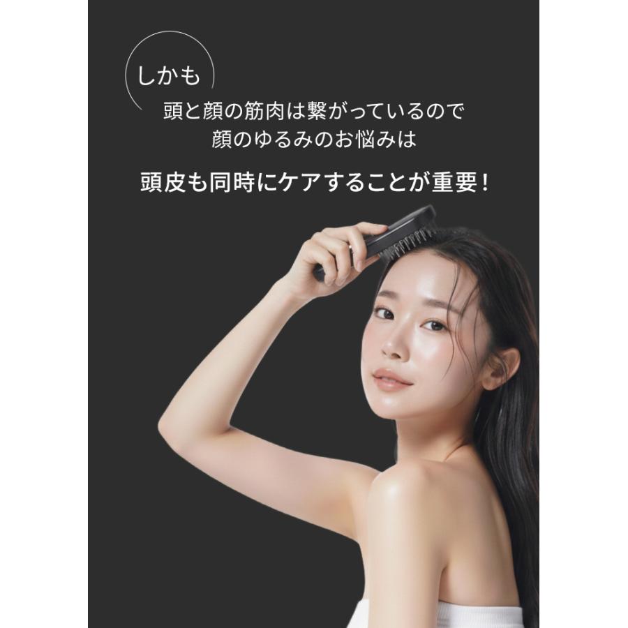 SALONIA サロニア EMS リフトブラシ 3Dケア 美顔器 ems リフトアップ