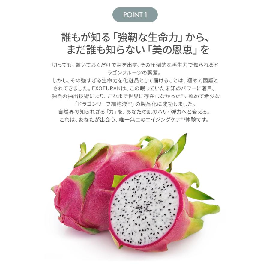 EXOTURAN オールインワンジェル 植物エクソソーム 100g 時短 美容液 無