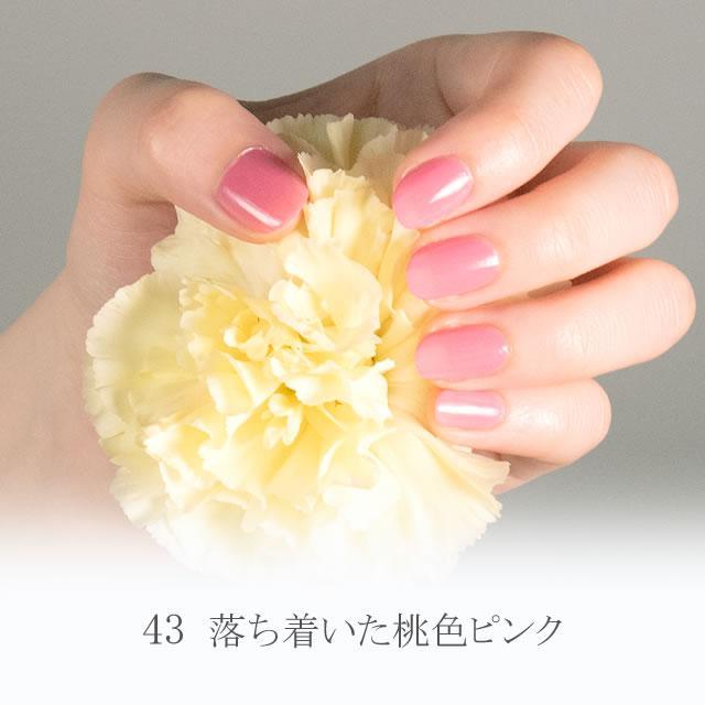 水性ネイル shellscoat(シェルズコート) 43 マーメイドピンク 6ml｜nailforall｜02