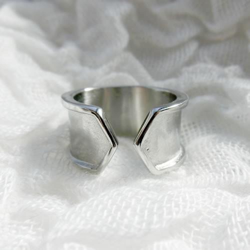 グルーデコ土台 ステンレスリング42 指輪 フリー デザインリング