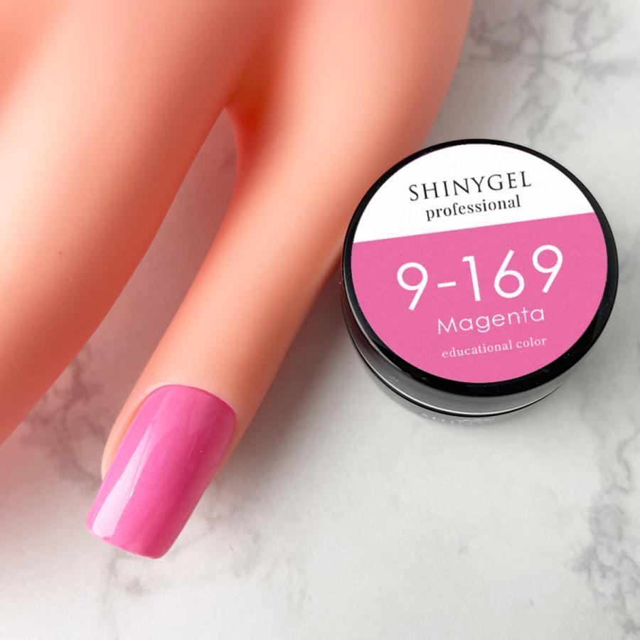 SHINYGEL Professional：カラージェル 9-169／マゼンタ 4g