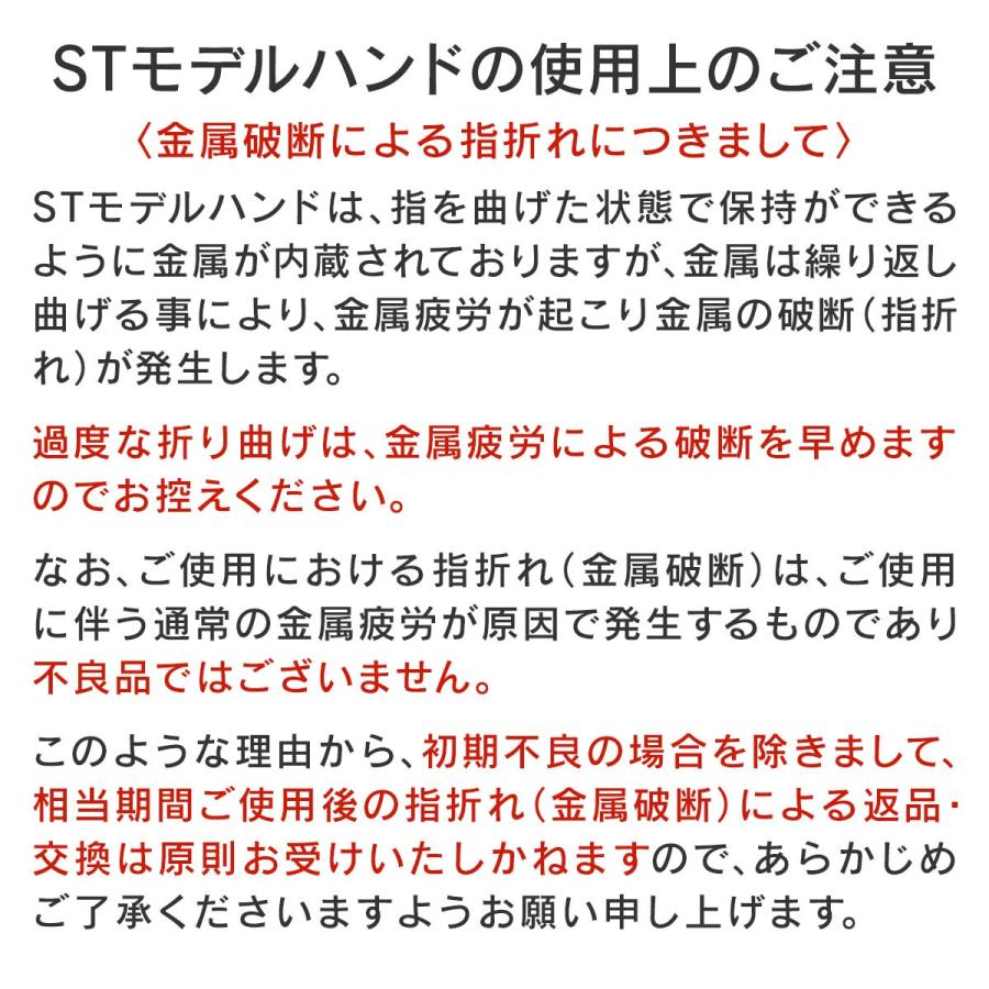 取り寄せ】STモデルハンド 右手（JNEC認定モデルハンド） : シャイニー