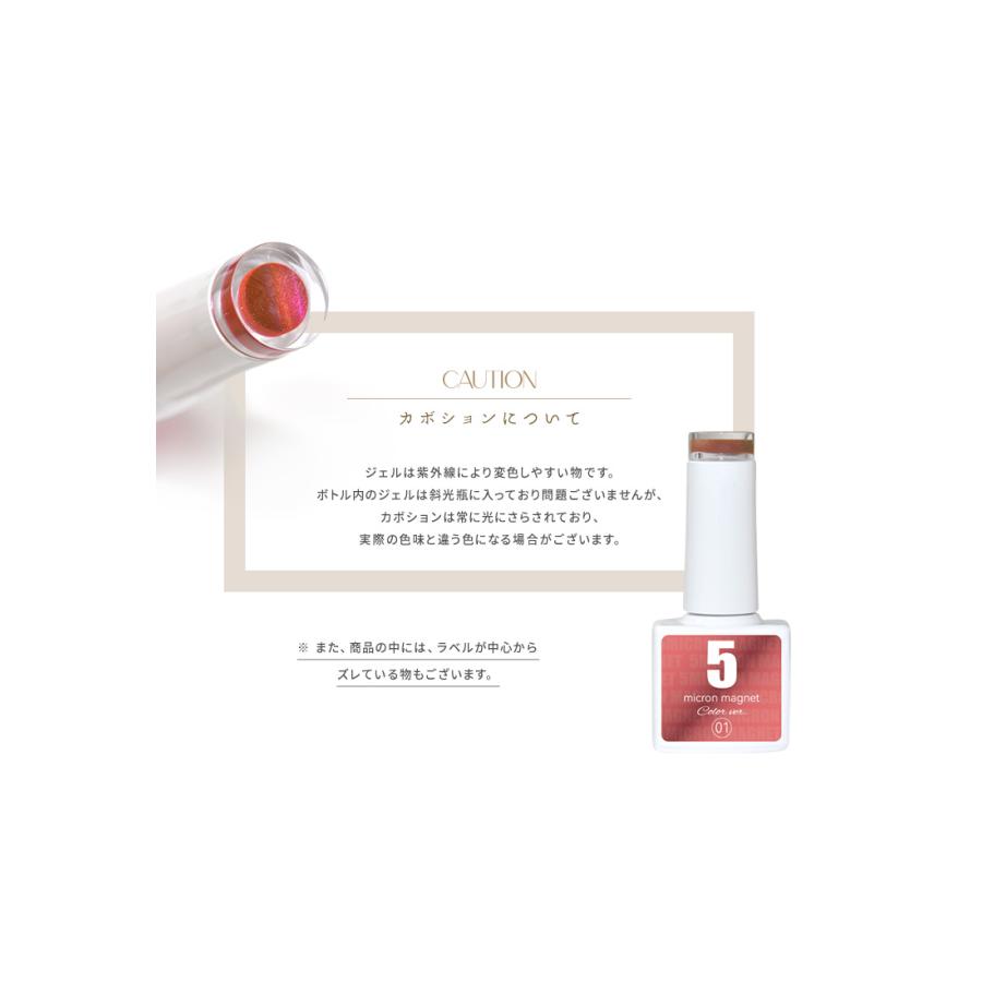 コンテナ 5ミクロン 超微粒カラーマグネットバウダー マグネットネイル