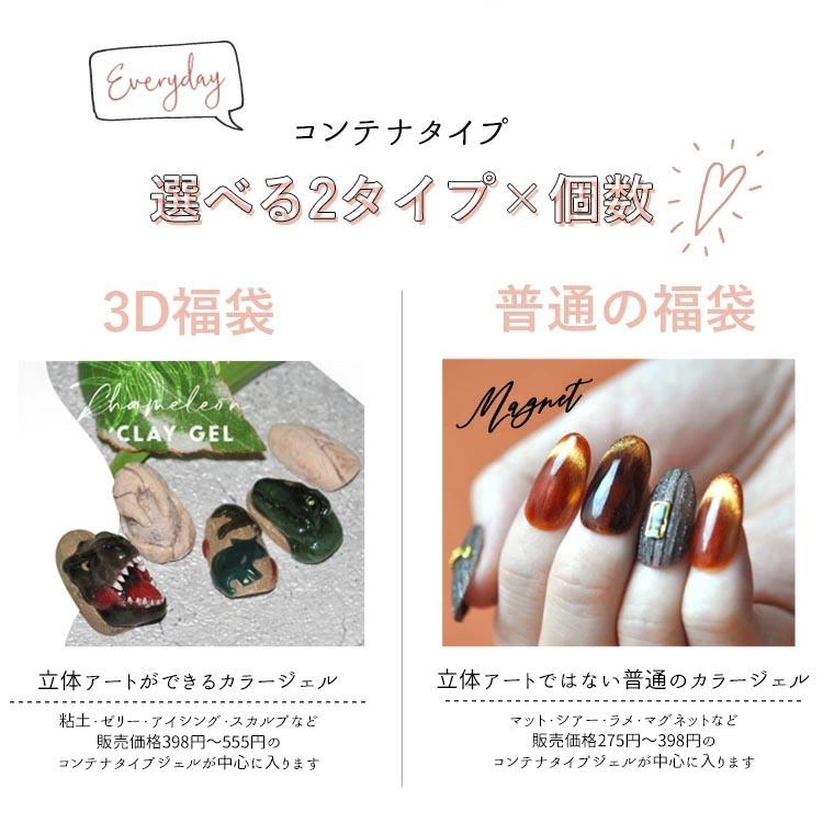 福袋 【 カラージェル ☆コンテナ】選べる福袋 10種類 ネイル工房