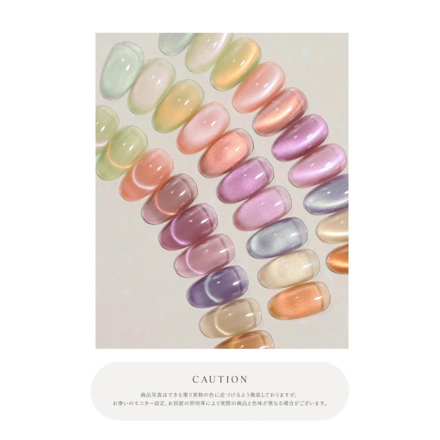 リアルフルーツマグネット マグネットネイル 「RealFruit Magnet