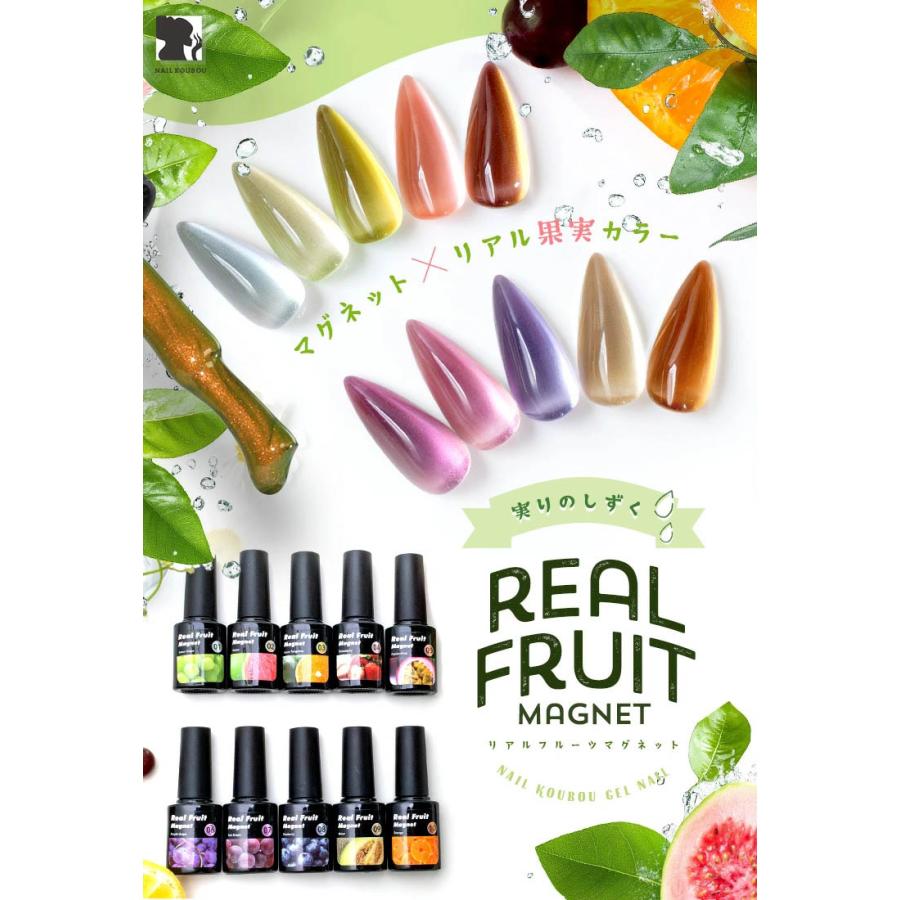 リアルフルーツマグネット マグネットネイル 「RealFruit Magnet