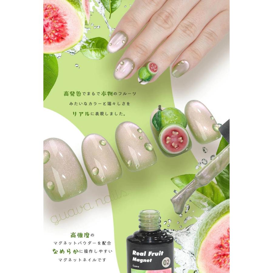 リアルフルーツマグネット マグネットネイル 「RealFruit Magnet