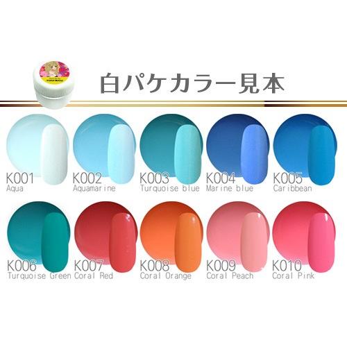 ジェルネイル♪全230色　ネイル工房発！伝説カラージェル｜nailkoubouu｜04