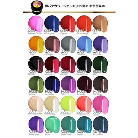 ジェルネイル♪全230色　ネイル工房発！伝説カラージェル｜nailkoubouu｜06