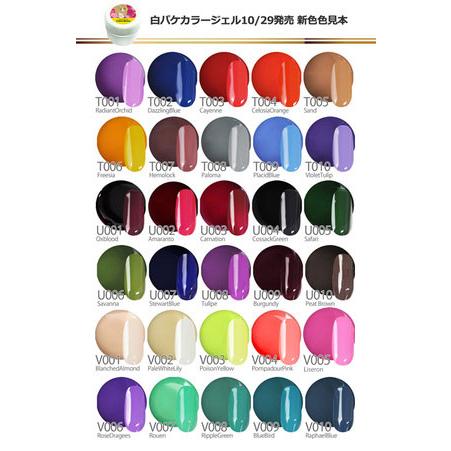 ジェルネイル♪全230色　ネイル工房発！伝説カラージェル｜nailkoubouu｜08