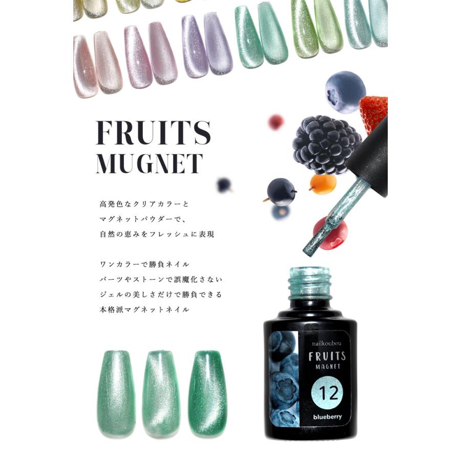 上品なスタイル上品なスタイル超高発色 マグネットネイル フルーツの果汁のような透明感あふれる 「FruitMagnet」 カラージェル ジェルネイル  クリア ジェルネイル