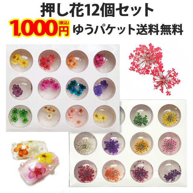 ドライフラワー（ 押し花or小花 ）メール便送料無料（ あすつく