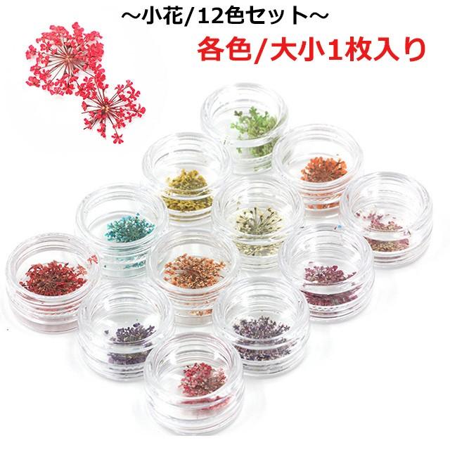 ドライフラワー（ 押し花or小花 ）メール便送料無料（ あすつく