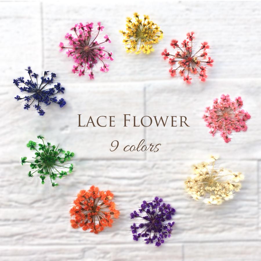 全9色】ドライフラワー レースフラワー 押し花 レジン ハンドメイド