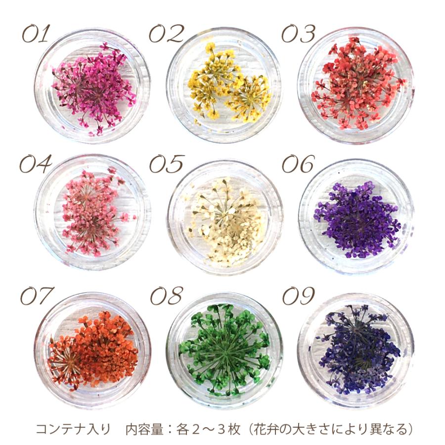 全9色】ドライフラワー レースフラワー 押し花 レジン ハンドメイド 