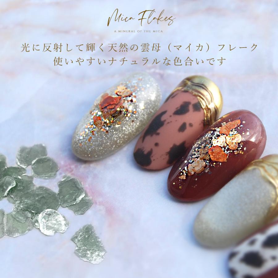 全4色】天然マイカフレーク ジェルネイル レジン 天然素材 マイカ