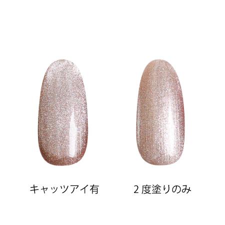 ICEGEL カラージェル マグネットジェル アイスジェル スター