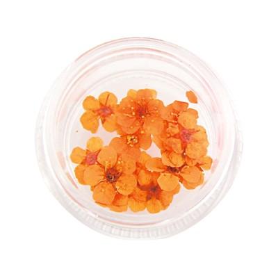 ネイルパーツセット（多色・erikonail） erikonail（エリコネイル） ネイルパーツ フラワー 花 JC ERI-157