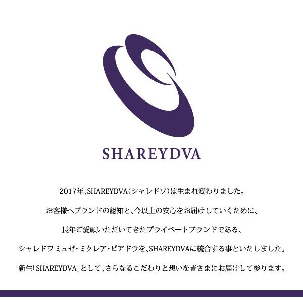 SHAREYDVA ネイルファイル プロフェッショナルファイル バリューパック