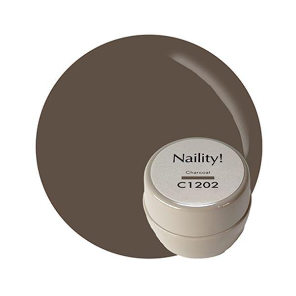 ネイリティー! ジェルネイルカラー C1202 チャコール 3g