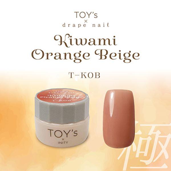 TOY's × INITY 極みオレンジベージュ 5g : ネイルワールド - 通販