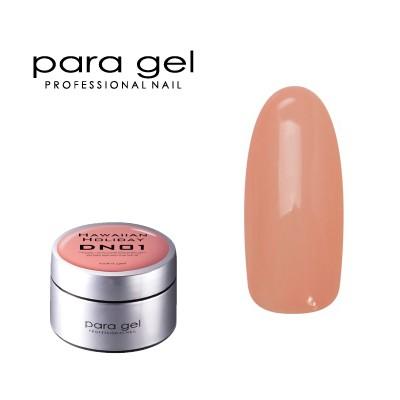 para gel（パラジェル） ジェルネイル セルフ カラージェル para
