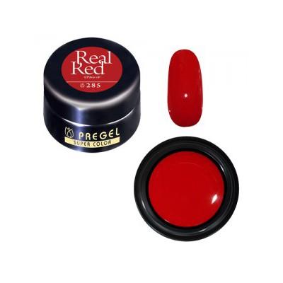 PREGEL ジェルネイル セルフ カラージェル ネイル検定 プリジェル