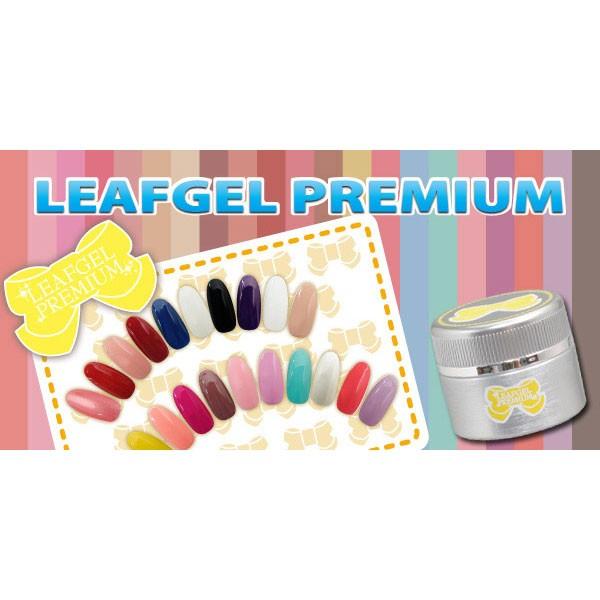 リーフジェル90色 楽天市場】LEAFGEL PREMIUM リーフジェルプレミアム ノンワイプ