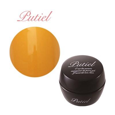 ジェルネイル セルフ カラージェル プティール 151 マッド 2g : ネイル