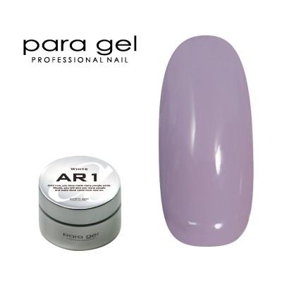 ジェルネイル セルフ カラージェル パラジェル ｐａｒａ ｇｅｌ アートカラージェル Amd12 スモーキーパープル Epsi Rating Com