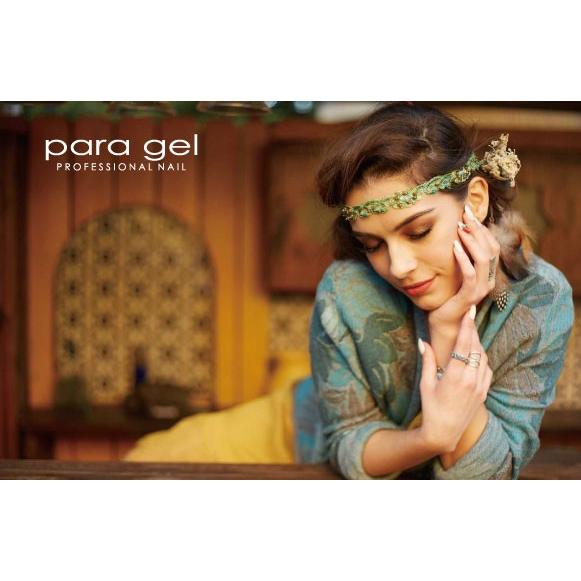 para gel（パラジェル） ジェルネイル カラージェル カラージェル P017