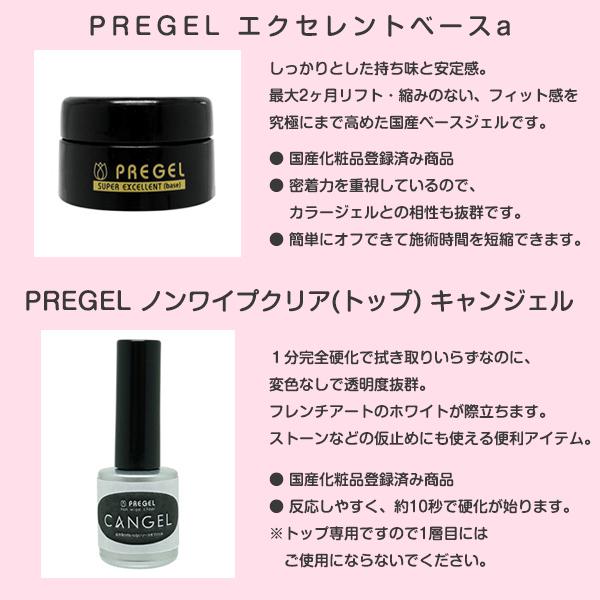 【送料無料】ジェルネイル キット サロン プロキット カラージェル サロン級ジェルネイルプロキット コンテナversion｜nailworld｜04