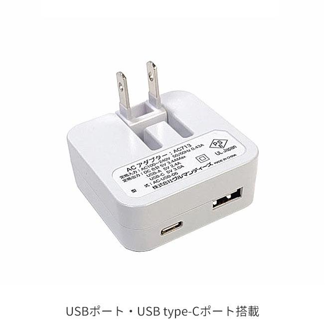 ポケットモンスター USB Type-C ACアダプタ ACアダプター 2ポート