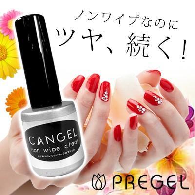 ジェルネイル セット プリジェル PREGEL ノンワイプクリア トップ