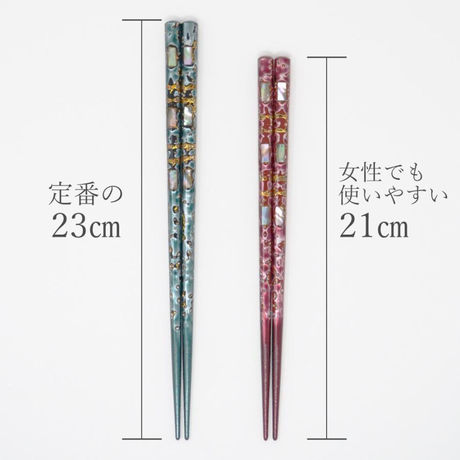 あわび貝 龍河ペアセット(箱入り/スベリ止め)】マツコの知らない世界