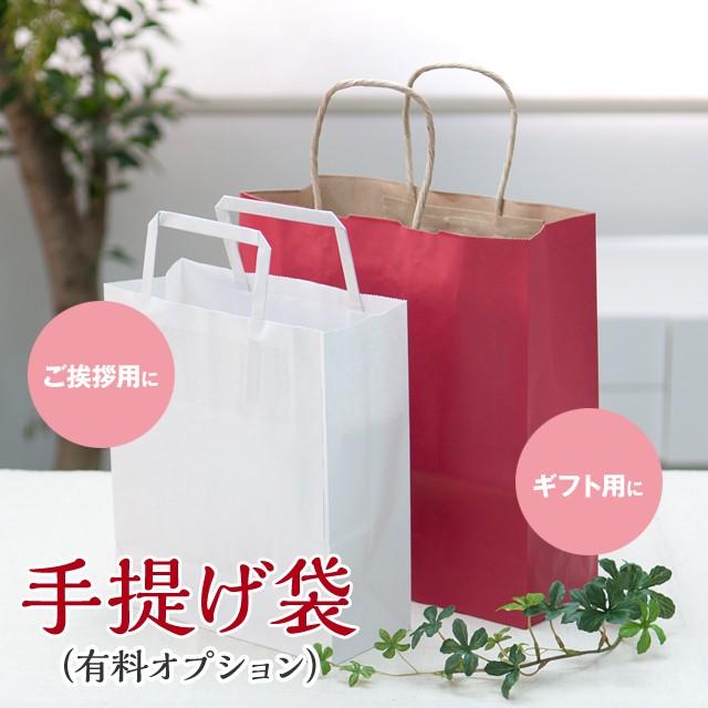 嵐にしやがれ(日テレ)放送【(筒井時正玩具花火謹製)国産花火　花富士　青 赤】贈答用 筒井時正玩具花火製造所 国産線香花火 花火 線香花火 国産｜naire-chachoya｜05