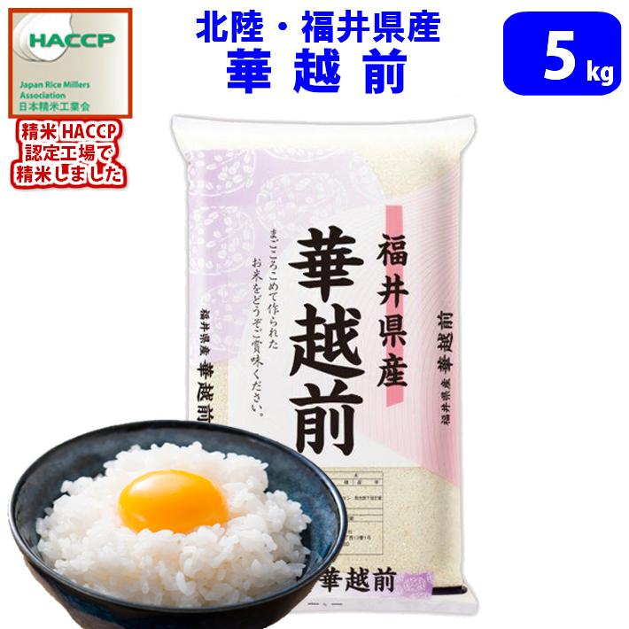 お一人様1個まで【令和7年産 新米】【精米】北陸・石川県産 ゆめ