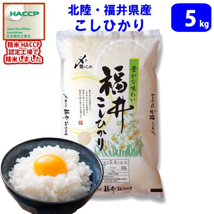 コシヒカリ 米 5キロ 令和7年産 新米 精米 コシヒカリ発祥の地 北陸