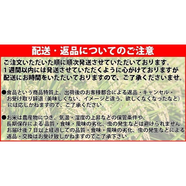 【令和5年産　新米】【精米】コシヒカリ発祥の地　北陸・福井県産こしひかり（水仙）5kg　送料無料(北海道、沖縄、離島は別途｜naire-donya｜05