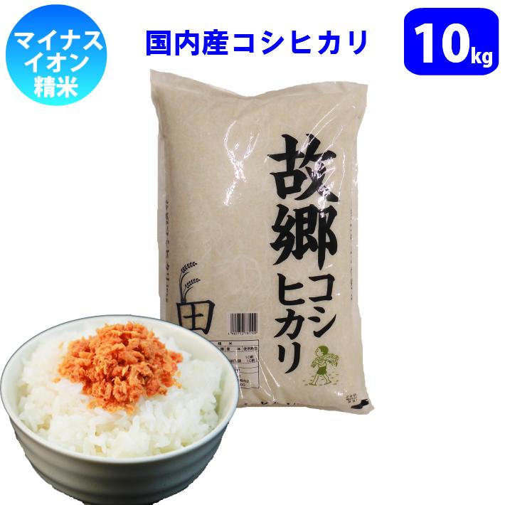コシヒカリ 値下げしました！ 米 10キロ 令和7年産 精米 100％国内産