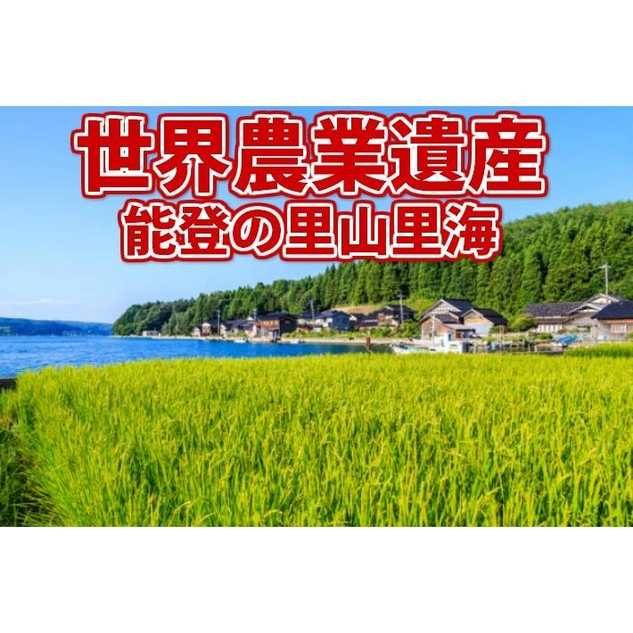 コシヒカリ 米 10キロ 令和7年産 精米 世界農業遺産 北陸・石川県能登 