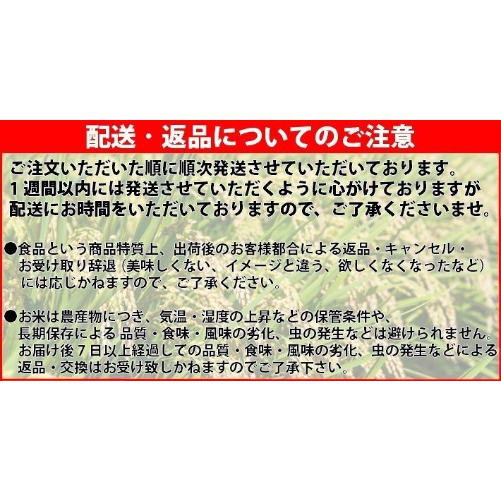 コシヒカリ 米 10キロ 令和7年産 精米 世界農業遺産 北陸・石川県能登 