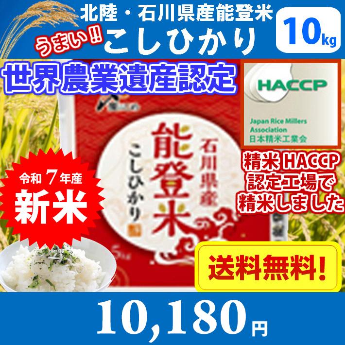 コシヒカリ 米 10キロ 令和7年産 精米 世界農業遺産 北陸・石川県能登