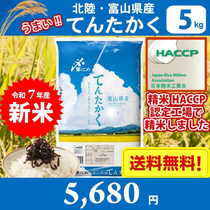 今だけ！【期間限定特価！】富山県産　大きめサイズ！無農薬青ぼっくり５キロ！！！ てんたかく 米 5キロ 令和7年産 精米 北陸・富山県産 5kg 送料無料