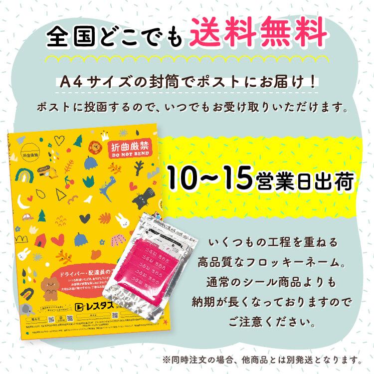 フロッキーネーム 布用 お名前シール アイロンシール 名前シール