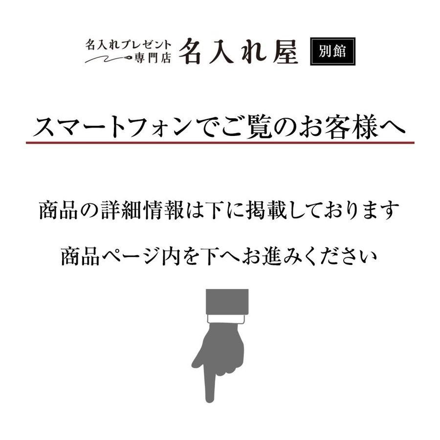 エンブレム カッティングステッカー スキージー付き 文字だけが残る 切