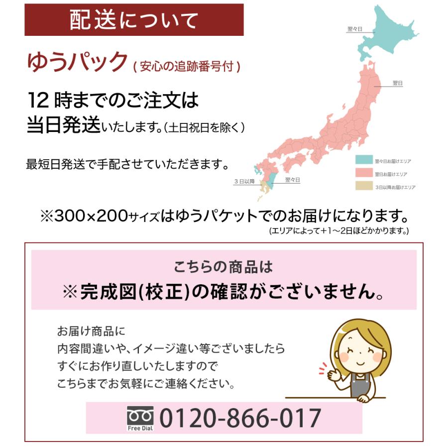 1枚 産業廃棄物収集運搬車 産廃車 名入れ セミオーダー 社名＆番号